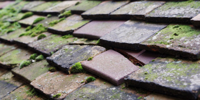 Clee Hill roof repair costs